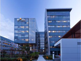 גב ים הרצליה צפון